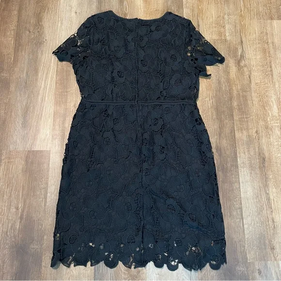 Lange Elegant Black Lace Midi Dress Size 18 - Picture 4 of 4